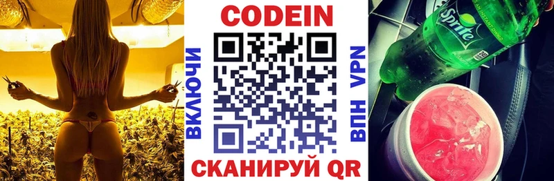 hydra ONION  Гатчина  Кодеин Purple Drank  наркотики 