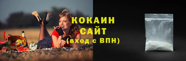 соль ск Бронницы