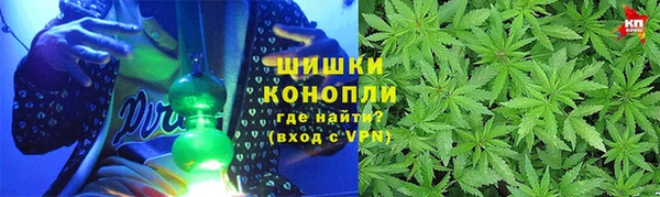 бутират Богданович