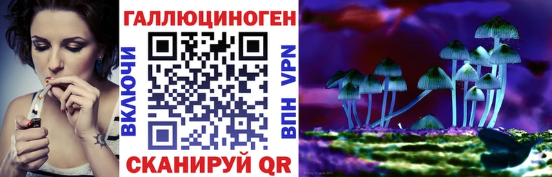 Псилоцибиновые грибы прущие грибы Гатчина