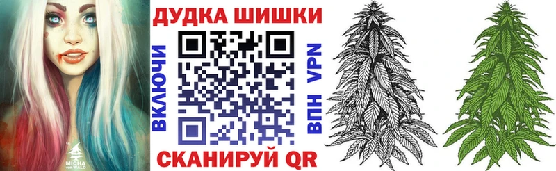 где продают наркотики Гатчина Конопля SATIVA & INDICA