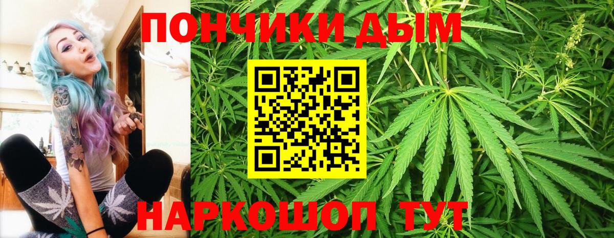 Гатчина  Марихуана White Widow  Вход с VPN  Шишки марихуана план  Каннабис Amnesia 